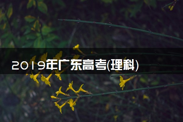 2019年广东高考（理科）数学试题及答案