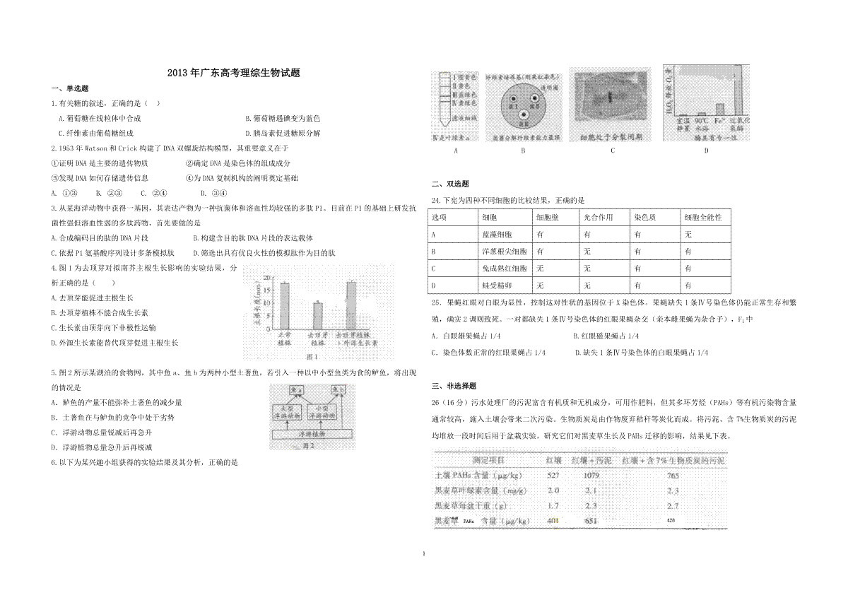 2013年广东高考生物（原卷版）