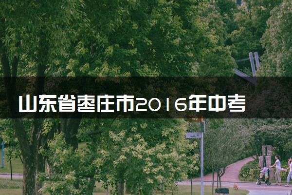 山东省枣庄市2016年中考化学真题试题（含解析）