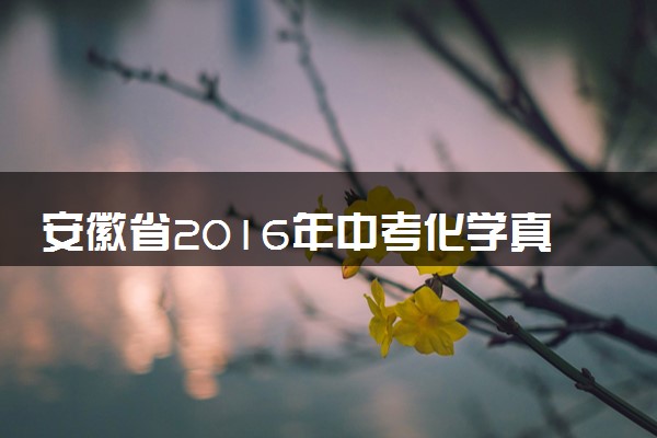 安徽省2016年中考化学真题试题（含解析）