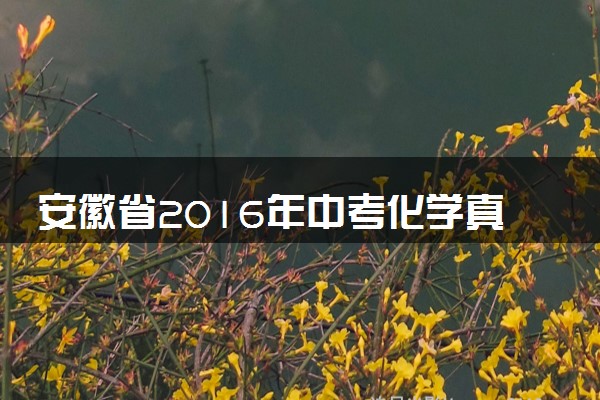 安徽省2016年中考化学真题试题（含答案）