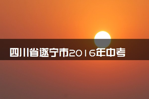 四川省遂宁市2016年中考化学真题试题（含解析）