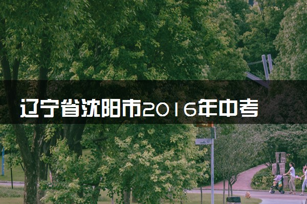 辽宁省沈阳市2016年中考化学真题试题（含解析）