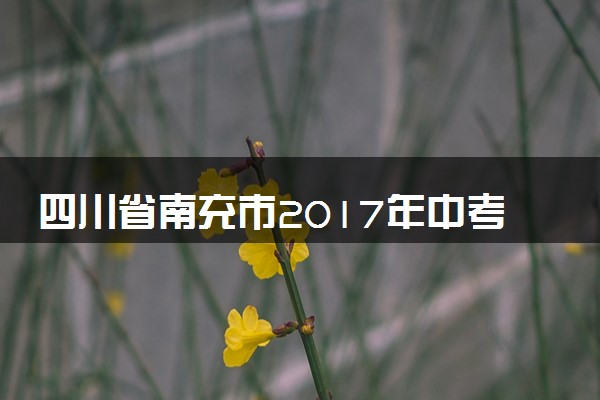 四川省南充市2017年中考化学真题试题（含答案）