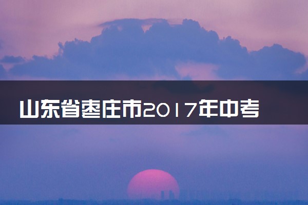 山东省枣庄市2017年中考化学真题试题（含答案）