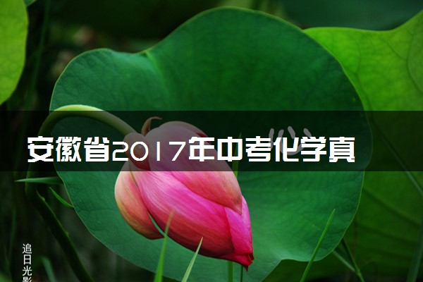 安徽省2017年中考化学真题试题（含答案）