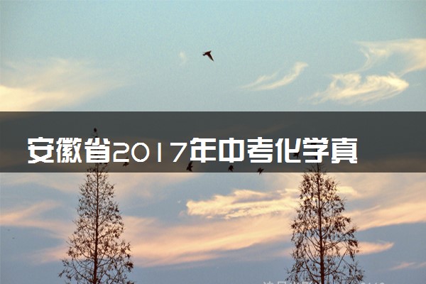 安徽省2017年中考化学真题试题（含解析）