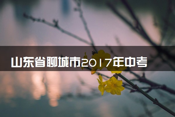 山东省聊城市2017年中考化学真题试题（含解析）