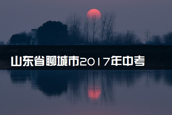 山东省聊城市2017年中考化学真题试题（含答案）