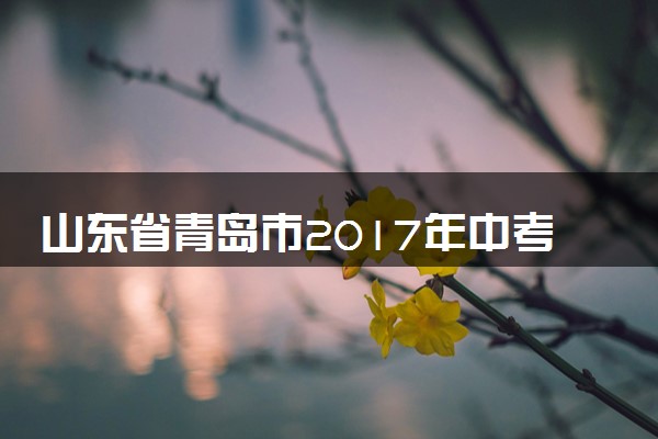 山东省青岛市2017年中考化学真题试题（含答案）