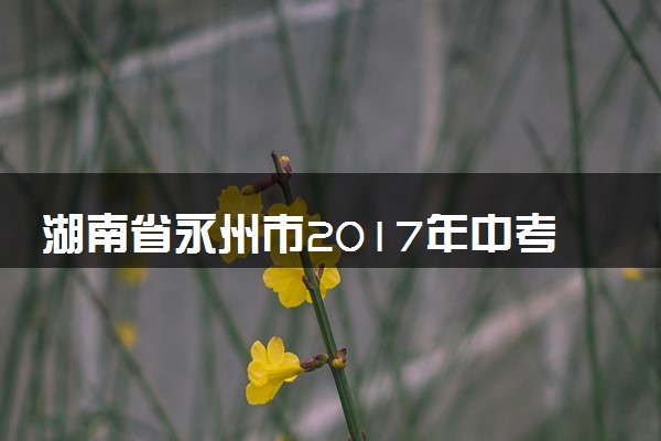 湖南省永州市2017年中考化学真题试题（含解析）