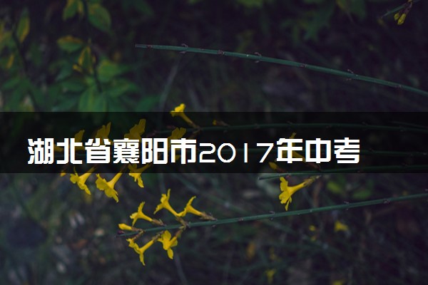 湖北省襄阳市2017年中考理综（化学部分）真题试题（含答案）