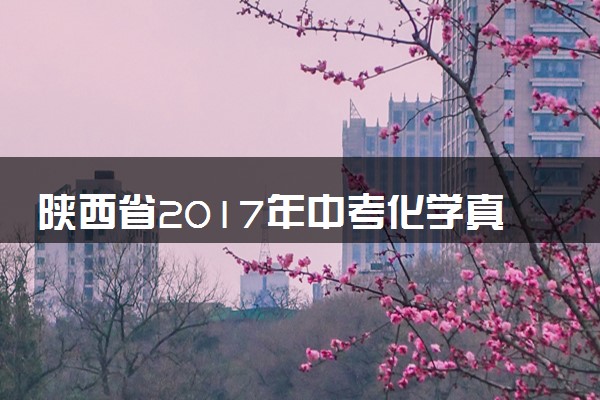 陕西省2017年中考化学真题试题（含答案）