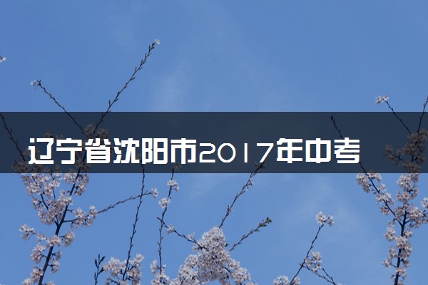 辽宁省沈阳市2017年中考化学真题试题（含答案）