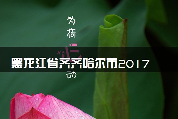 黑龙江省齐齐哈尔市2017年中考化学真题试题（含答案）