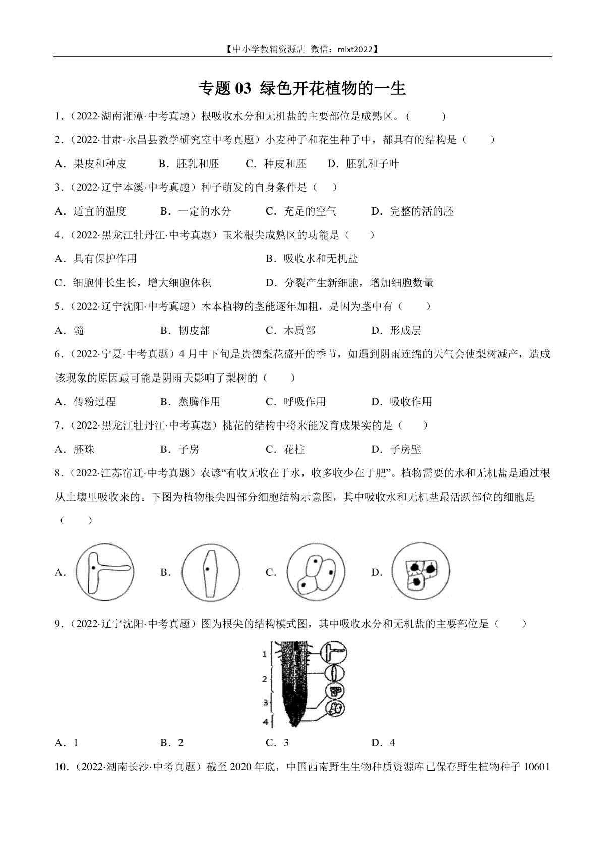 专题03 绿色开花植物的一生-2022年中考生物真题分项汇编（全国通用）（第4期）（原卷版）