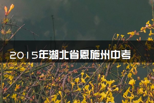 2015年湖北省恩施州中考数学试卷（含解析版）