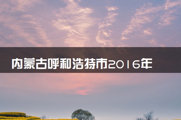 内蒙古呼和浩特市2016年中考物理真题试题（含解析）