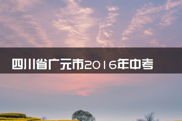 四川省广元市2016年中考物理真题试题（含解析）