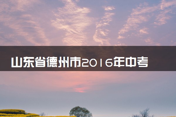 山东省德州市2016年中考物理真题试题（含解析）