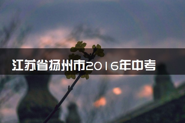 江苏省扬州市2016年中考物理真题试题（含解析）