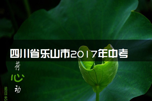 四川省乐山市2017年中考物理真题试题（含解析）