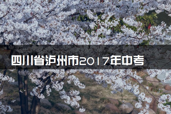 四川省泸州市2017年中考物理真题试题（含解析）