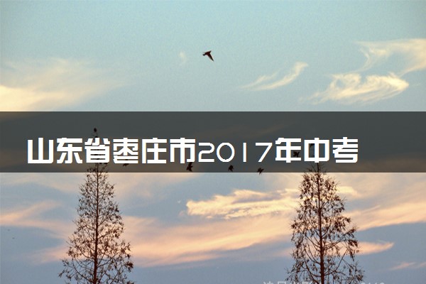 山东省枣庄市2017年中考物理真题试题（含解析）