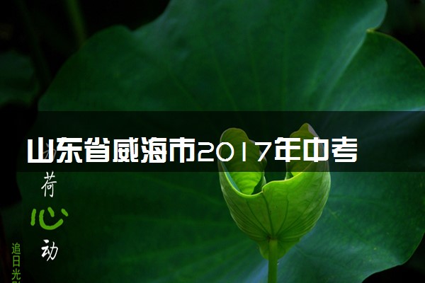 山东省威海市2017年中考物理真题试题（含解析）