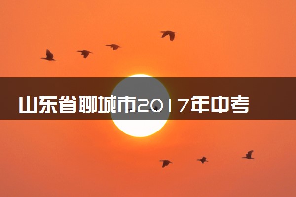 山东省聊城市2017年中考物理真题试题（含答案）