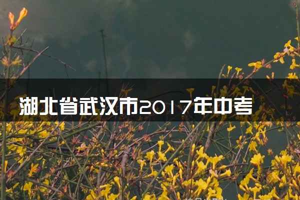 湖北省武汉市2017年中考物理真题试题（含解析）