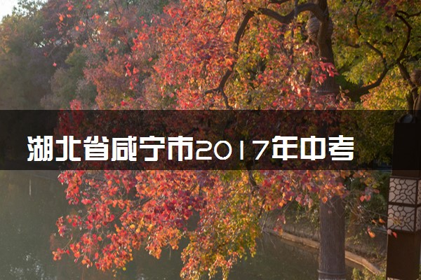 湖北省咸宁市2017年中考物理真题试题（含解析）