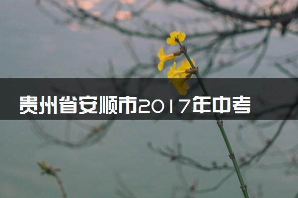 贵州省安顺市2017年中考物理真题试题（含解析）