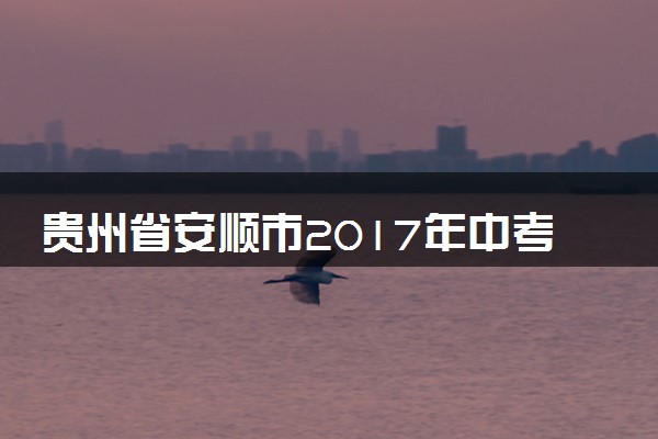 贵州省安顺市2017年中考理综（物理部分）真题试题（含解析）