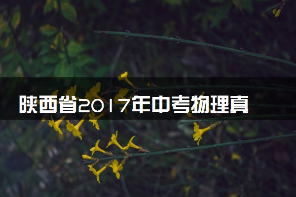 陕西省2017年中考物理真题试题（含解析）