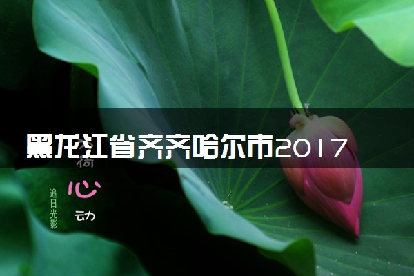 黑龙江省齐齐哈尔市2017年中考物理真题试题（含解析）