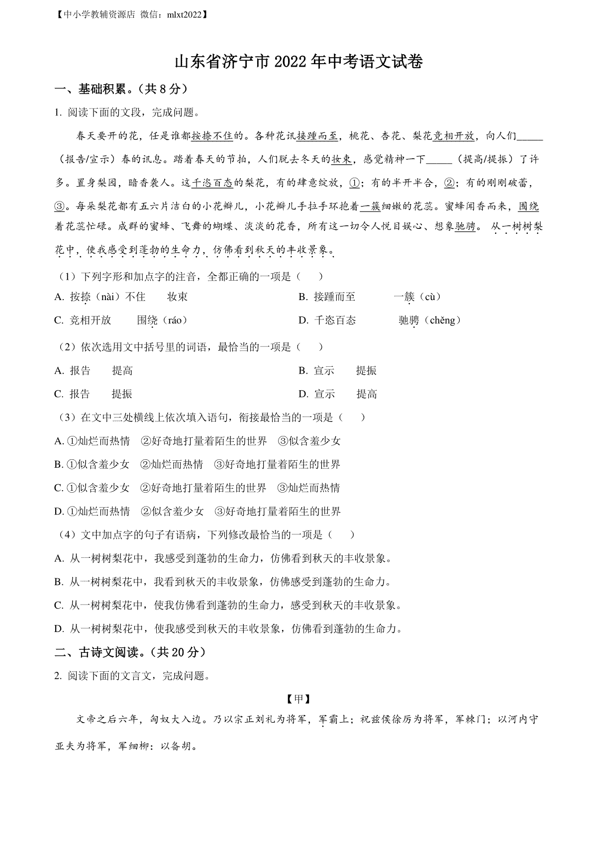 精品解析：2022年山东省济宁市中考语文真题（原卷版）