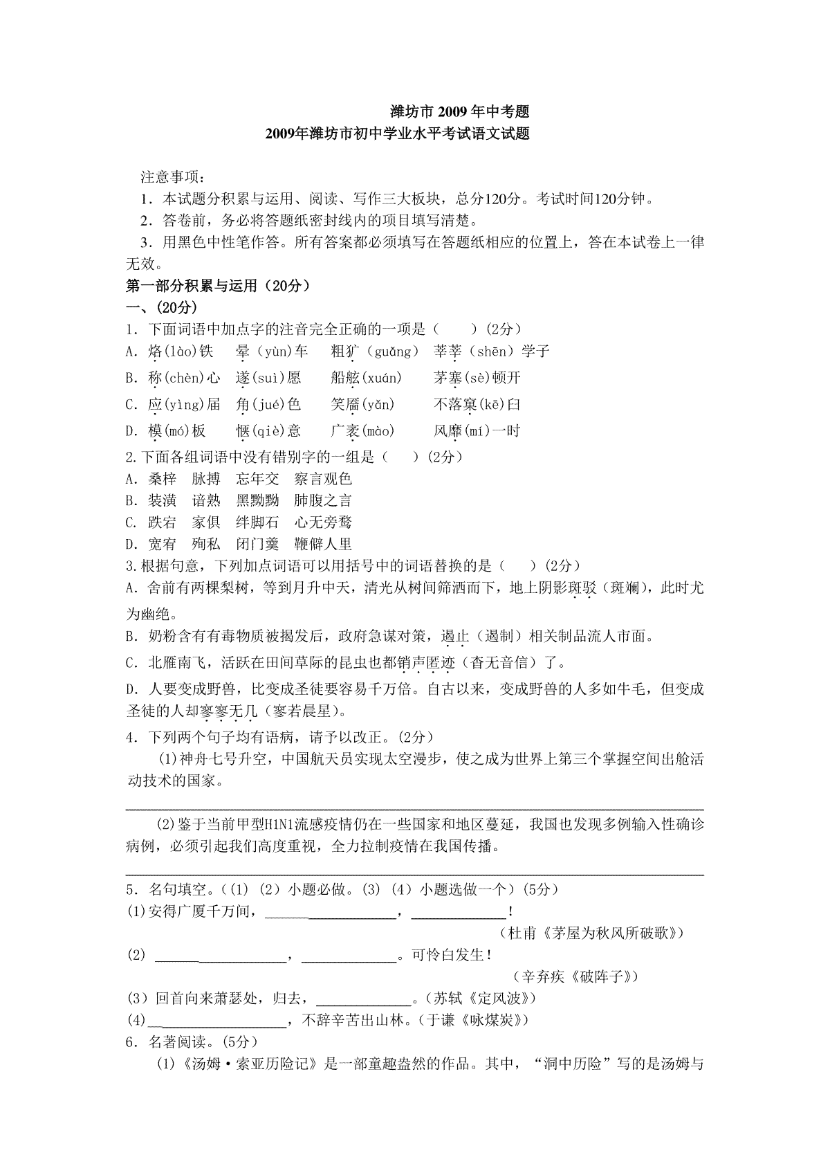 2009年山东省潍坊市中考语文试题及答案