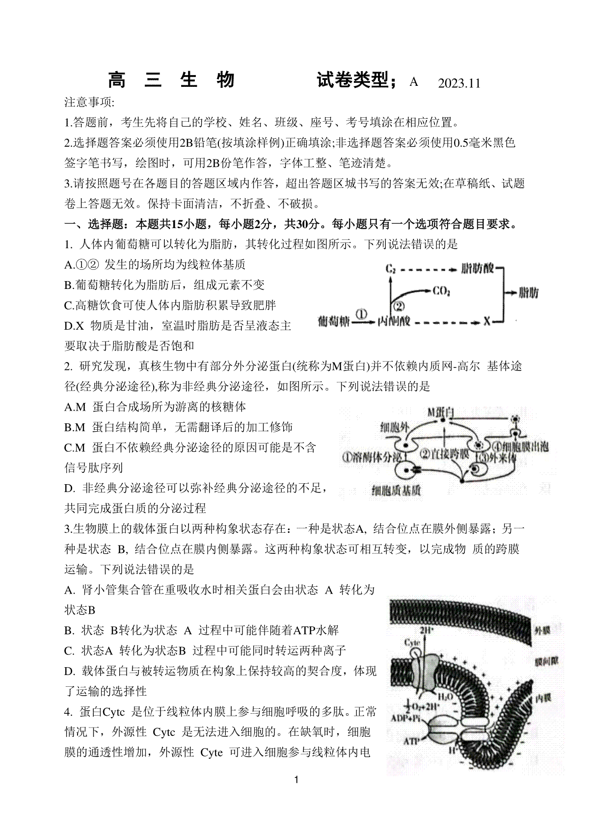 山东省潍坊市2024届高三上学期期中考试 生物