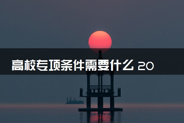 高校专项条件需要什么 2024有哪些报考要求