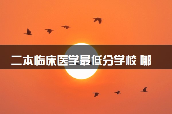 二本临床医学最低分学校 哪些院校适合低分报考