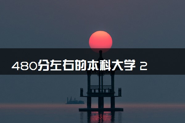 480分左右的本科大学 2024适合捡漏的大学有哪些