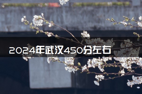 2024年武汉450分左右的大学 可以报考哪些大学