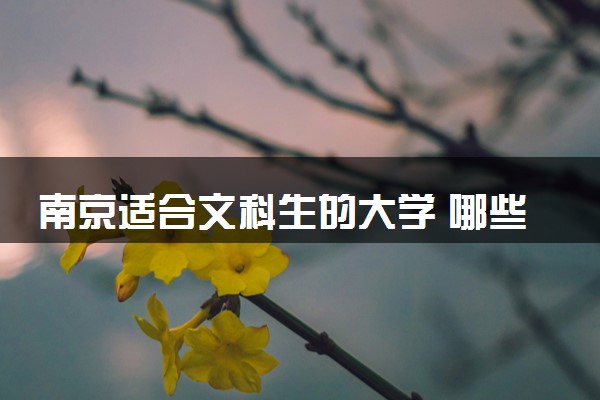 南京适合文科生的大学 哪些最值得上