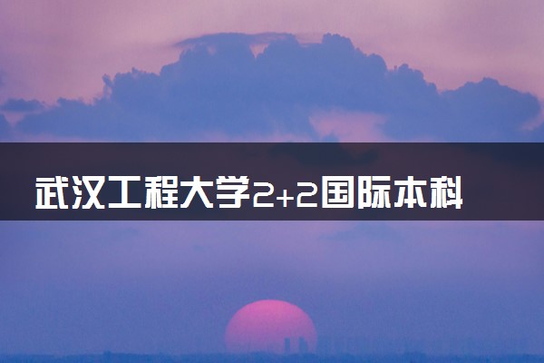 武汉工程大学2+2国际本科班学费多少钱