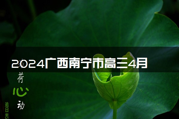 2024广西南宁市高三4月二模(459C)各科试题及答案汇总