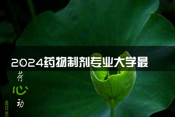 2024药物制剂专业大学最新排名 最好的50所大学排行榜