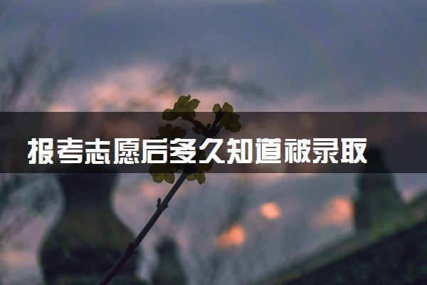 报考志愿后多久知道被录取 查询时间是什么