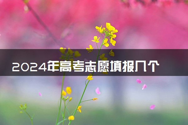 2024年高考志愿填报几个平行志愿 投档原则是什么