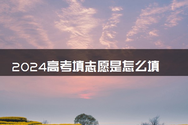 2024高考填志愿是怎么填的 有什么技巧